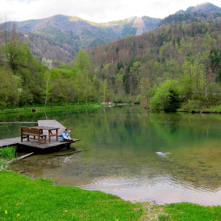 Romantische Ferienhuette Nationalpark Kalkalpen, Sonnig, 2 Schlafzimmer, Wlan Kleinreifling Buitenkant foto