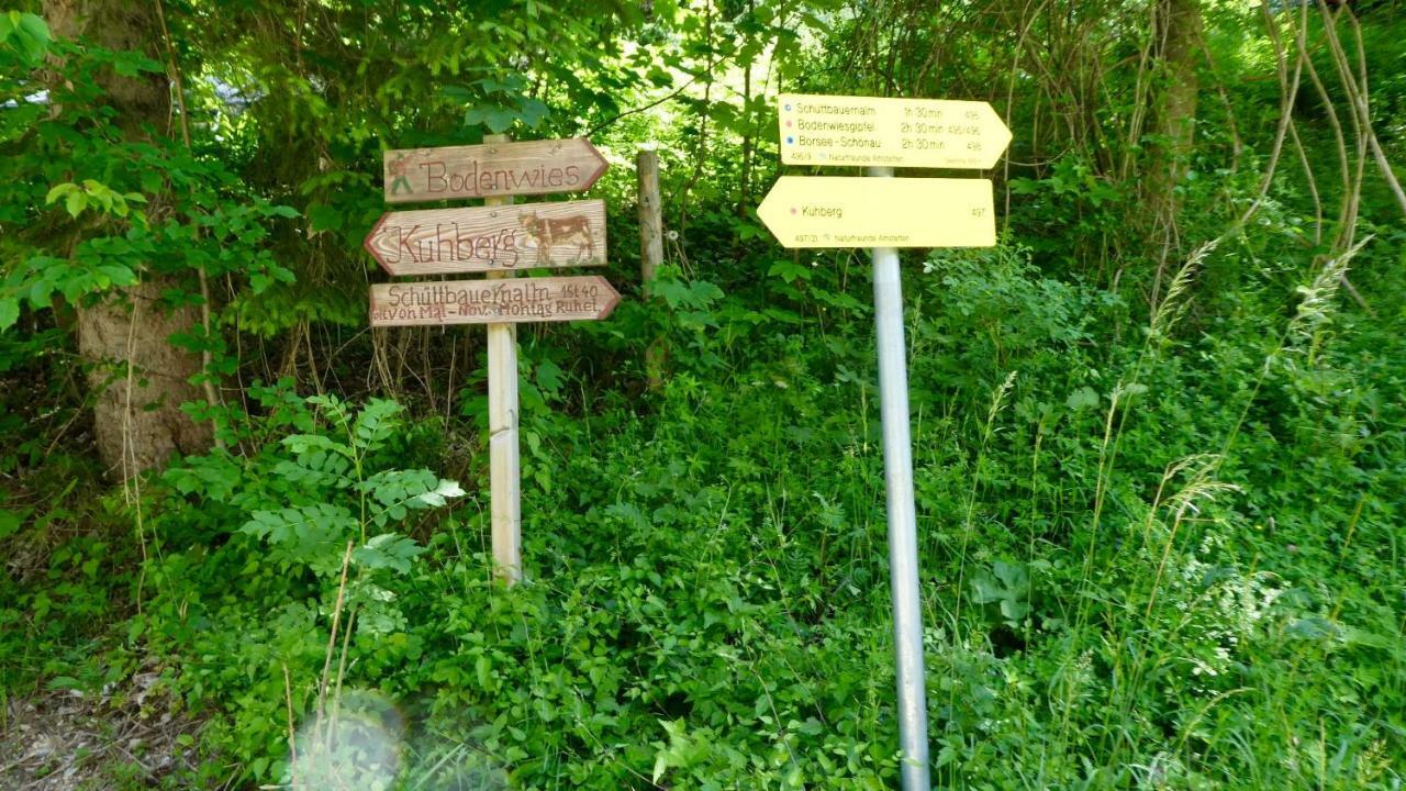 Romantische Ferienhuette Nationalpark Kalkalpen, Sonnig, 2 Schlafzimmer, Wlan Kleinreifling Buitenkant foto