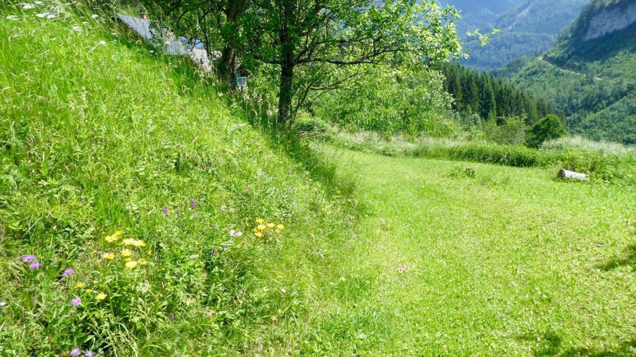 Romantische Ferienhuette Nationalpark Kalkalpen, Sonnig, 2 Schlafzimmer, Wlan Kleinreifling Buitenkant foto